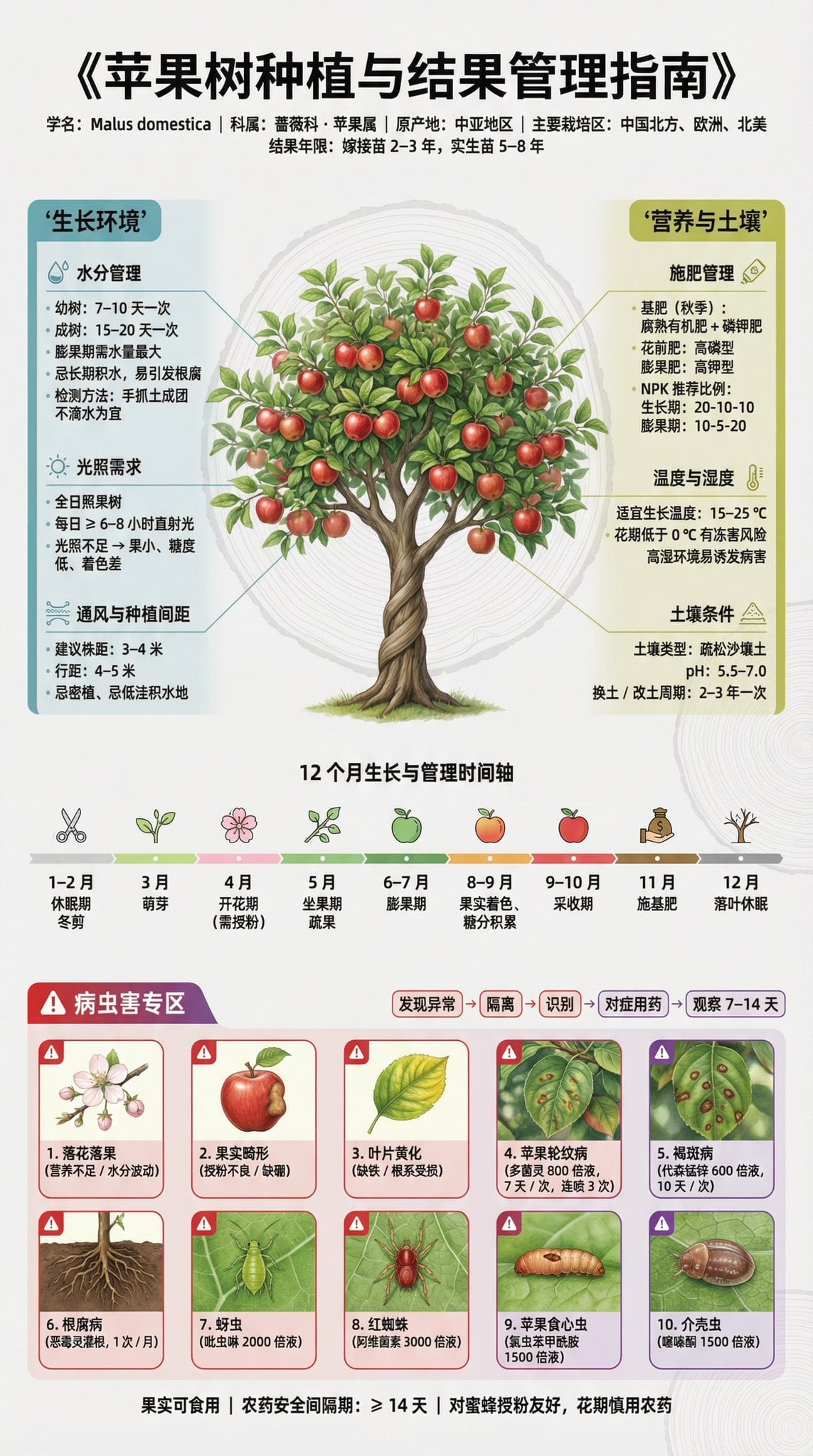 果树种植科普展板 | 3:4 竖版 | 博物馆级信息设计