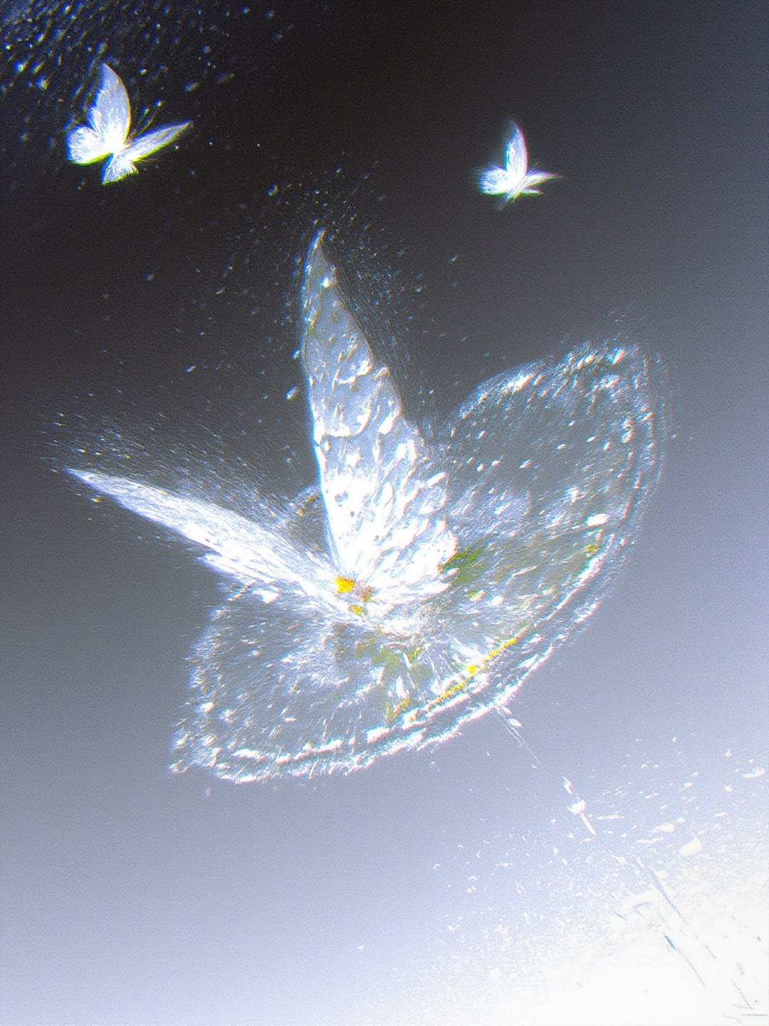 xijie_光感插画