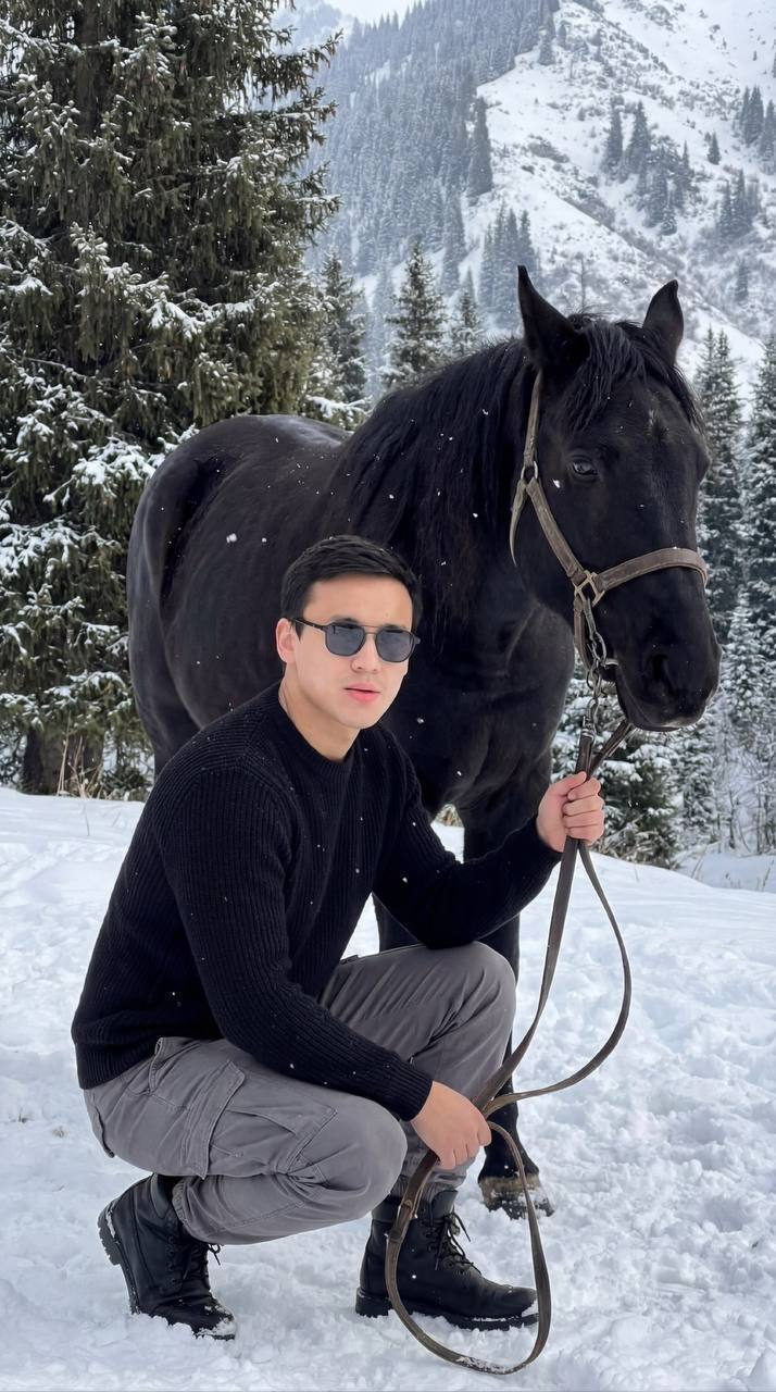 black horse