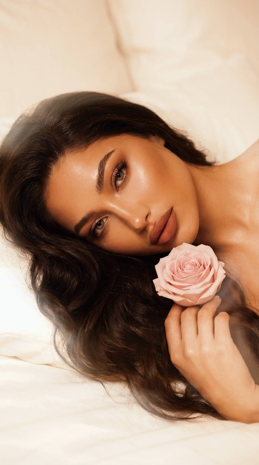 Soft Rose