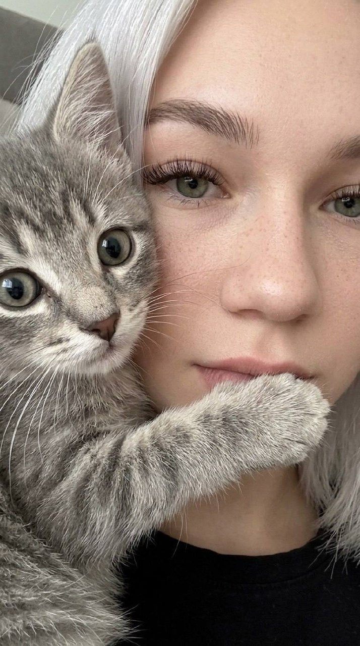 Kitten Face Cuddle