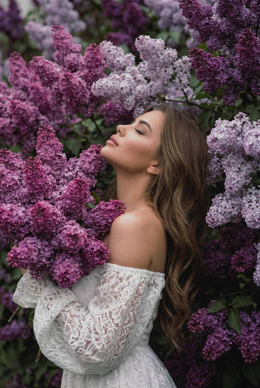 Lavender Peace Contemplation