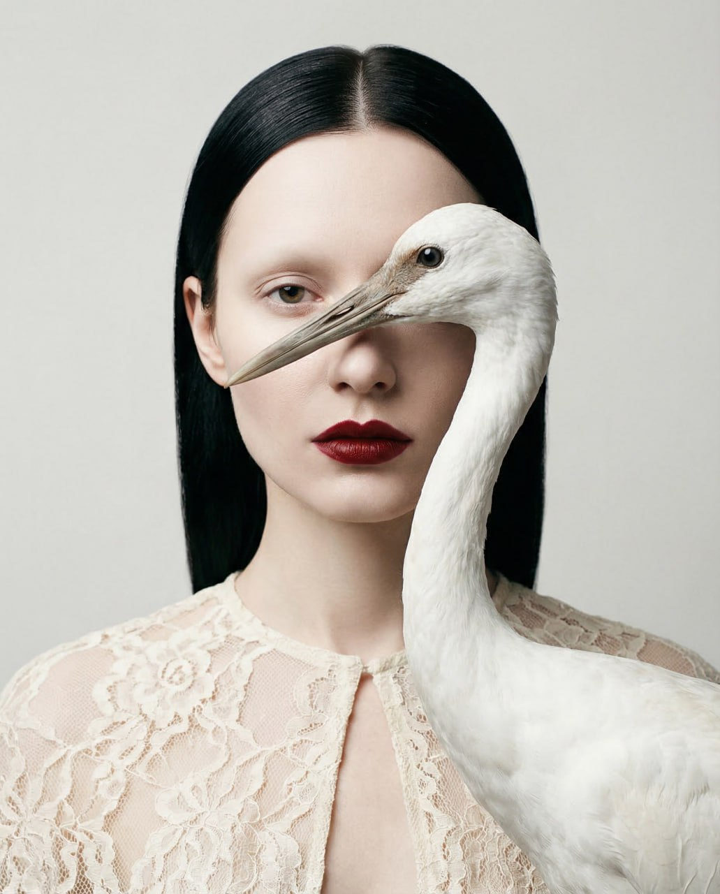 Porcelain Grace