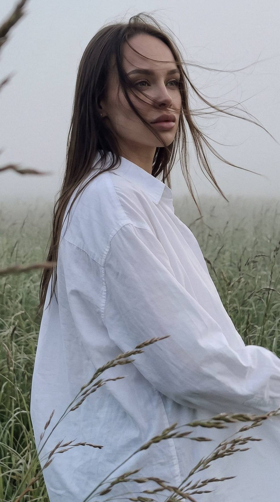 Melancholy Mist Grassland