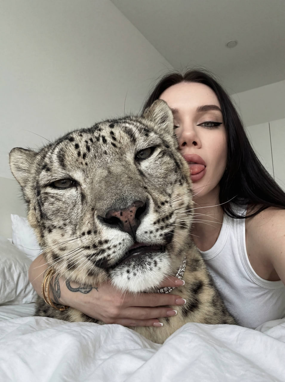 Velvet Beast Seduction