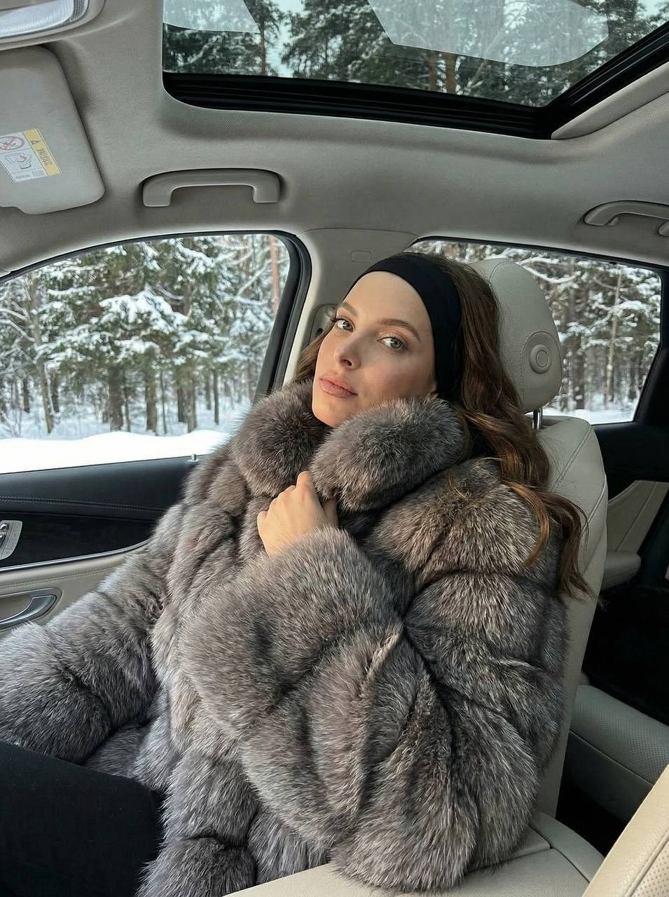 Arctic Luxury Motion